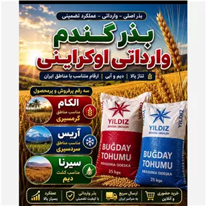 گندم اوکراینی تناژ بالا(پس کرایه)