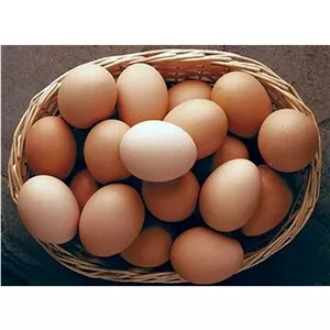 تخم مرغ محلی