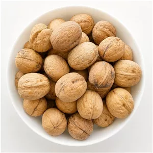 گردو آذرشهر کاغذی 