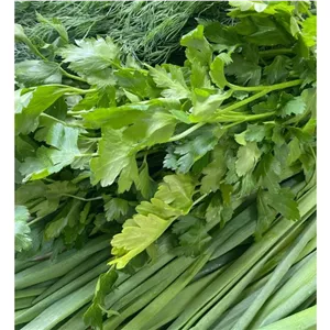 سبزی اش آماده فوق العاده با کیفیت و تمیز 