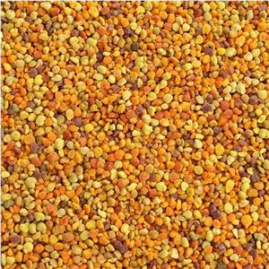 گرده گل زربال