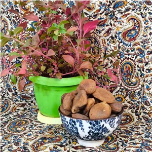 قیسی افتاب خورده ارگانیک(بدون مغز)