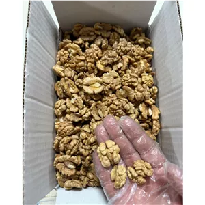 مغز گردوی سفید ممتاز تویسرکان خوشمزه و پرچرب 1کیلویی