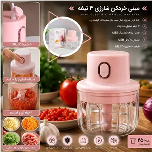 خردکن 3 تیغه 250 لیتری مدل intelligent electric garlic machine
