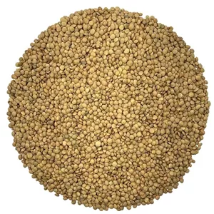عدس ریز امسالی 250 گرمی با کیفیت ومرغوب 