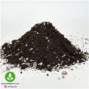 خاک استریل تراریوم
