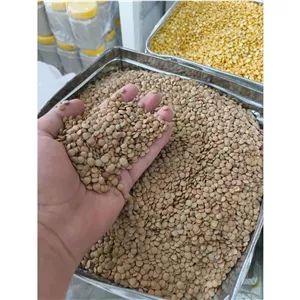 عدس درشت درجه یک (1 کیلویی) تضمین کیفیت