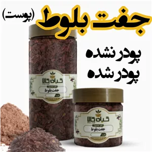  جفت بلوط خشک یا پودری بسته بندی  سورت شده و شستشو شده با دستگاه های تمام اتوماتیک ترمیم کننده زخم  گیاه کالا 
