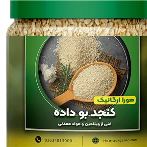 کنجد بوداده 250 گرمی هورا - فروشگاه هادی زندگی سالم