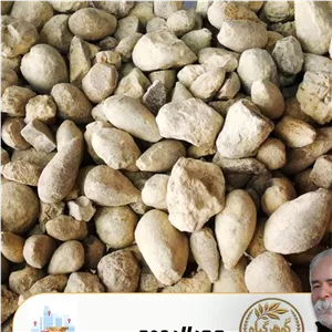 حجرالیهود(زیتون بنی اسرائیل ، سنگ جهودان ، اندرزا ) میزان دلخواه