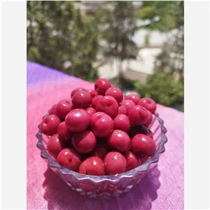 ترشی آلبالو یک کیلو گرمی 