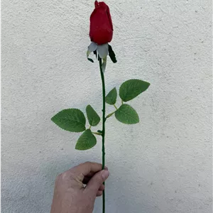 رز غنچه لمسی قرمز 2برگ  سایز 1