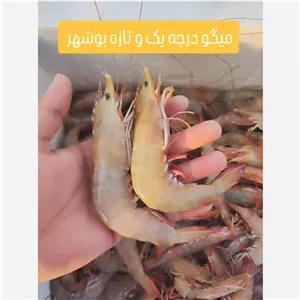 شاه میگو (جامبو)درجه یک بوشهر سایز 20 30