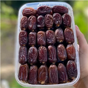خرما کلوته نوبر برداشت مرداد 405 ارسال سریع