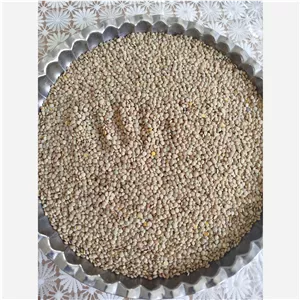 عدس سبز و امسالی و زود پز نیم کیلو یی محلی محصولات خانگی درجه یک شیوا