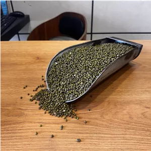 ماش محلی درجه یک و درشت