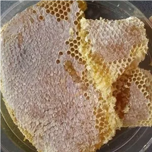 عسل طبیعی کردستان ضمانتی