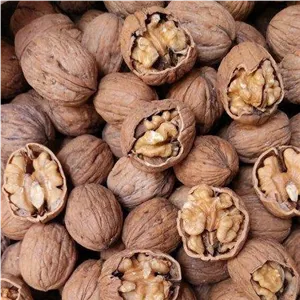گردو پوست کاغذی ایرانی 500 گرم