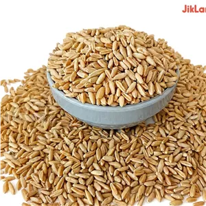 گندم برای کبوتر و مرغ - درجه یک و یکدست - گندم دیمی