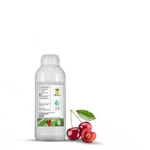 روغن هسته آلبالو