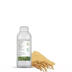 روغن سبوس برنج