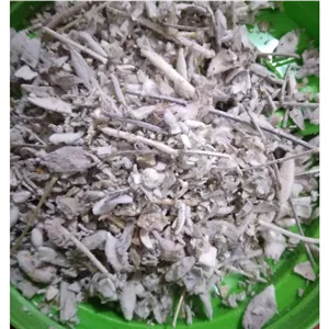 بادرنجبویه غنچه 50 گرم