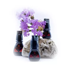 چسب مژه نیچا الیت پلاس