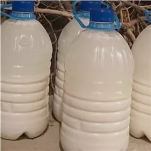 دوغ گوسفندی اصل با کیفیت 