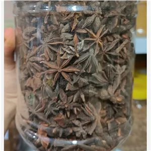 بادیان ستاره ای اعلإ 100گرمی