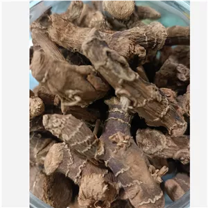 قولنجان درجه یک 100گرمی
