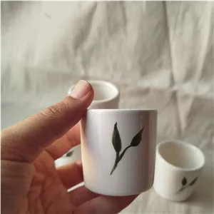 شات سرامیکی برگ سبز