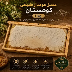 خرید عسل موم دار یک کیلویی، عسل طبیعی با موم کندو، محصول زنبورستان شاه جهان