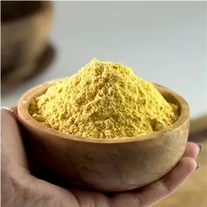 پودر انبه(سس فلافل) 100 گرمی
