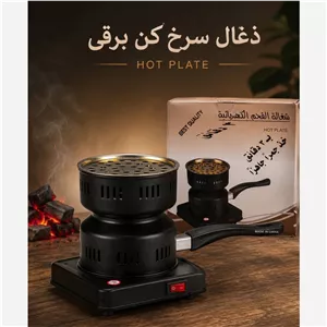 زغال سرخ کن برقی