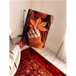 فوم بورد تک رو D 53 