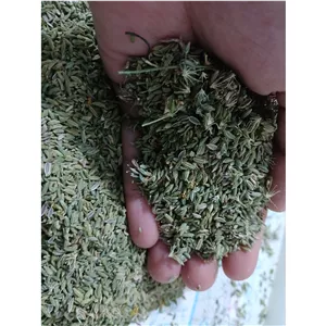 رازیانه ( بادیان ) در بسته های 100 گرمی 