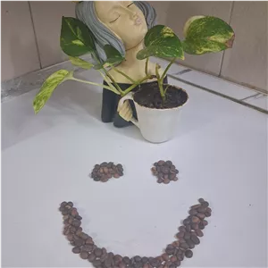 قهوه ی کنیا