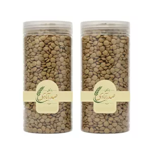 عدس بازرگانی صدرآبادی - 450 گرم بسته 2 عددی