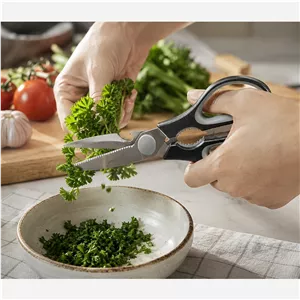 قیچی آشپزخانه وارداتی شنگیا