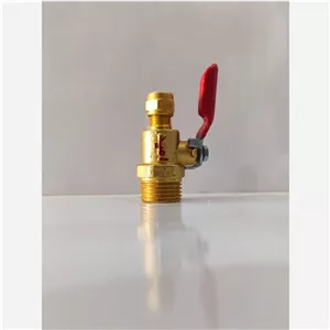 شیر کولری امید 