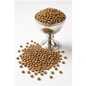 عدس ممتاز 200 گرم