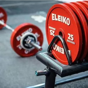 صفحه وزنه الیکو (ELEIKO )