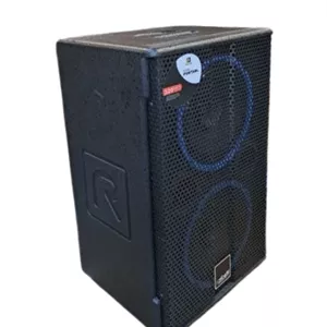 اکو پرتابل رعد RAD بدون میکروفون بیسیم مدل 928
