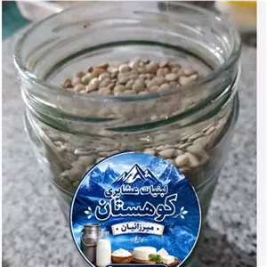 عدس 1 کیلویی