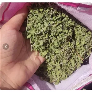 آویشن کوهی تضمینی