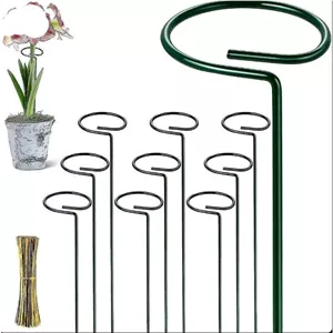 پایه نگهدارنده گل 6 عددی