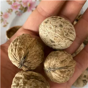 گردو پوست کاغذی فسنجونی مغز تیره