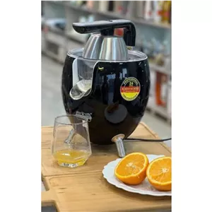 آب مرکبات گیری رمانتیک هوم مدل VS-6016B ا Romantic 