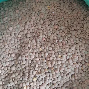 عدس درشت خوشپخت 2.5 کیلویی