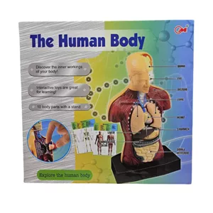 بازی آموزشی ناب سل مدل مولاژ آناتومی اعضای بدن The Human Body naab002